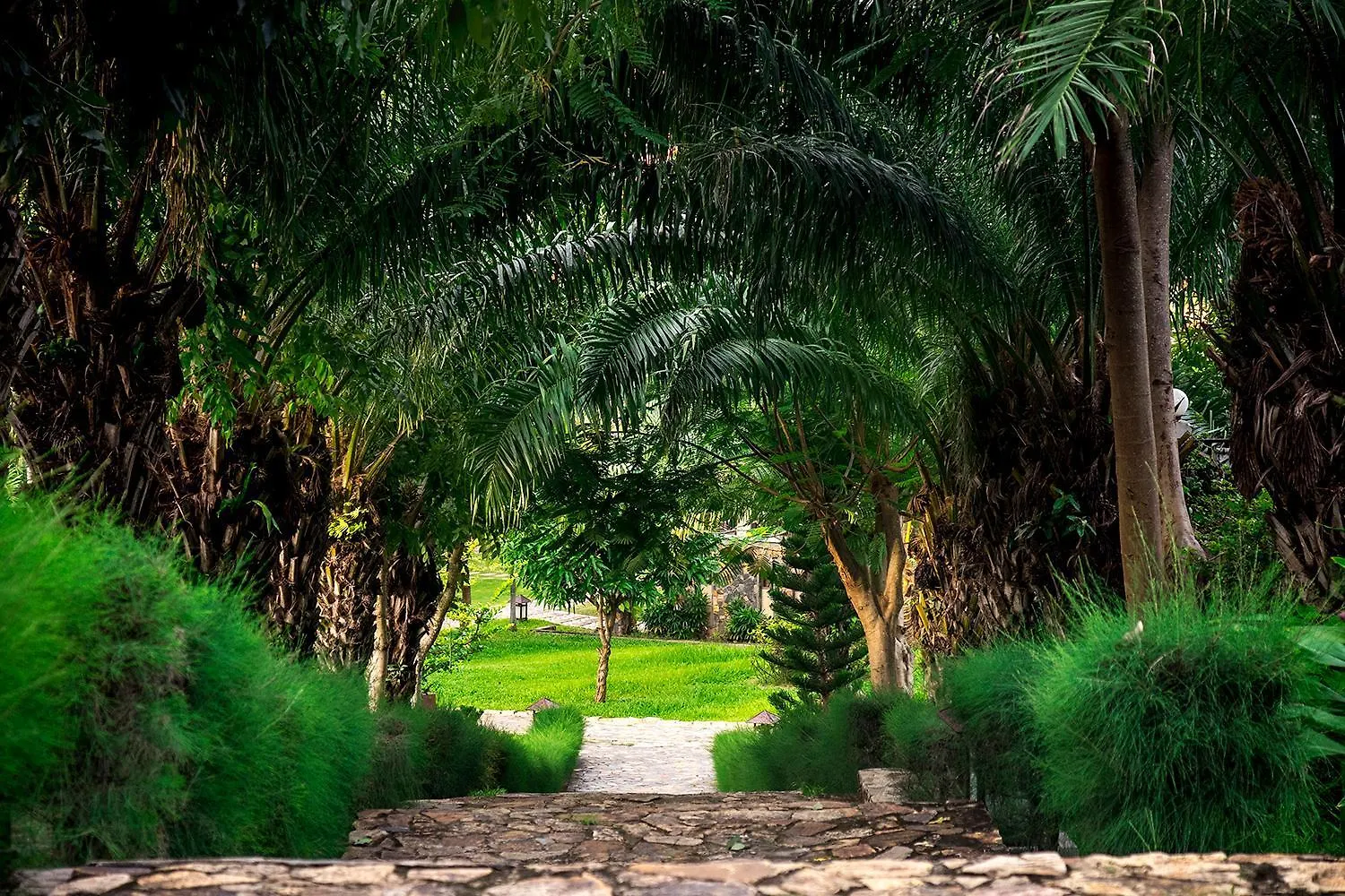 Romana Resort & Spa Mui Ne