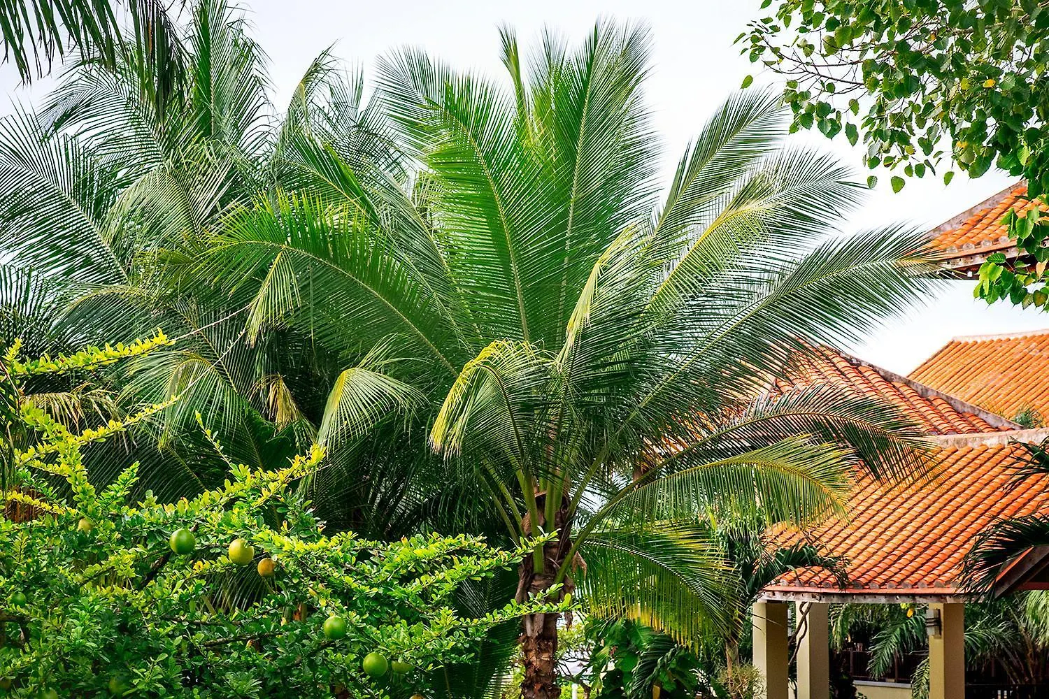Romana Resort & Spa Mui Ne